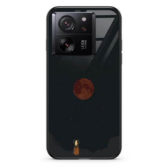 #model_xiaomi-xiaomi-13t