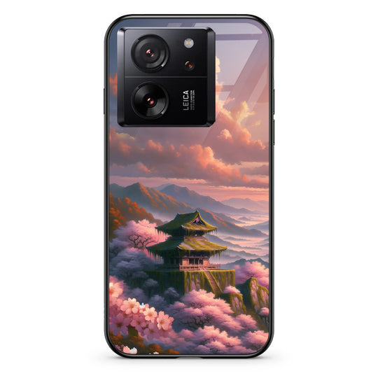 #model_xiaomi-xiaomi-13t-pro