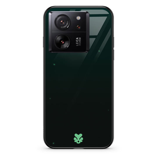 #model_xiaomi-xiaomi-13t-pro